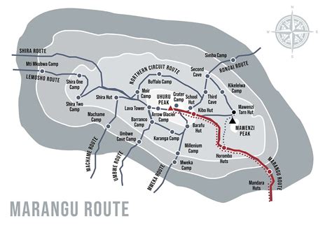 Success Rate Marangu Route