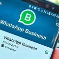 Success Stories with WhatsApp Business Web