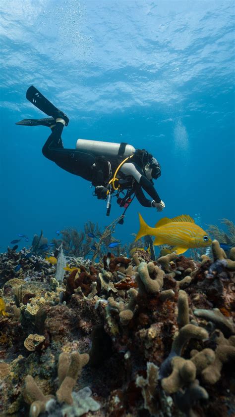 Successful Scuba Experience