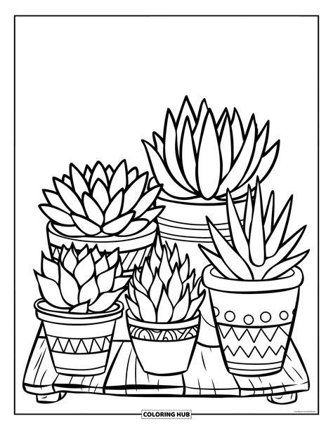 Succulent Coloring Page