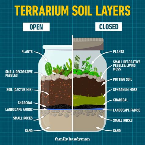 Succulent Terrarium Soil Layers