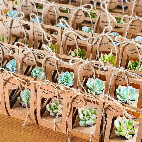 Top 10 Succulent Wedding Favors: The Perfect Green Gifts for Your Special Day