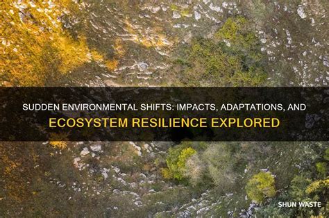 Sudden Environmental Changes (The Move)