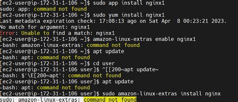 Sudo    Amazon Linux Extras Command Not Found