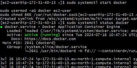 Sudo Amazon Linux Extras Install Docker Command Line