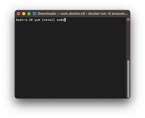 Sudo Amazon Linux Extras Install Docker Command Not Found