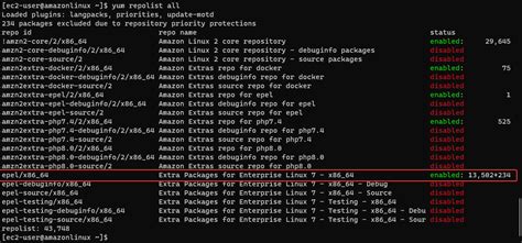 Sudo Amazon Linux Extras Install Epel Y