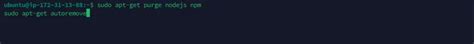 Sudo    Apt Uninstall Nodejs