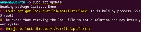Sudo Apt Update Error Could Not Get Lock
