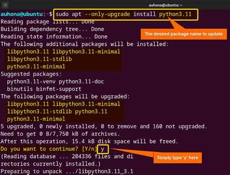 Sudo Apt Upgrade Python3 Pip