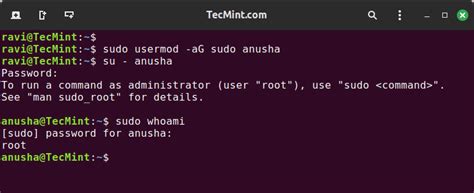 Sudo Command With Password Argument