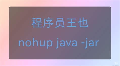 Sudo Nohup Java Jar