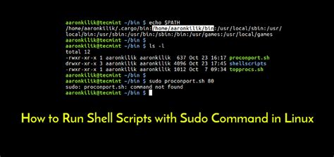Sudo Run Sh Script