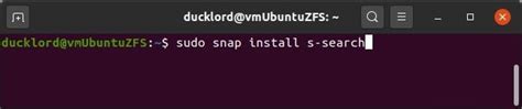 Sudo Snap Install