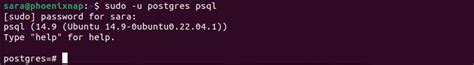 Sudo Su Postgres