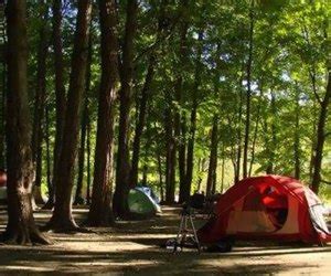 Suffolk County's Natural Oasis: Unleashing the Best Camping Experience Amidst the Parks