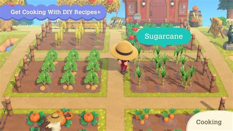 Discover the Sweet World of Sugar Cane in Animal Crossing: A Guide to Planting, Harvesting, and Crafting!