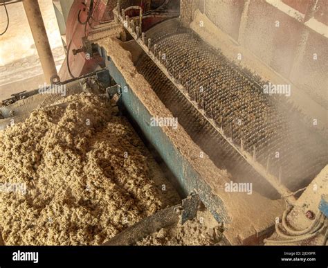 Sugar Cane Processing