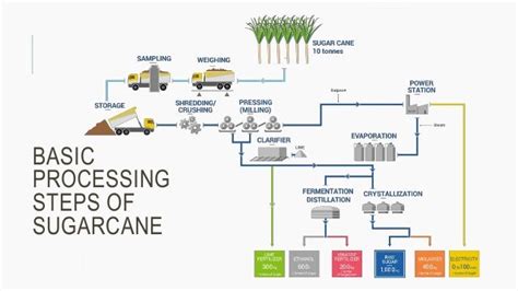 Sugarcane processing