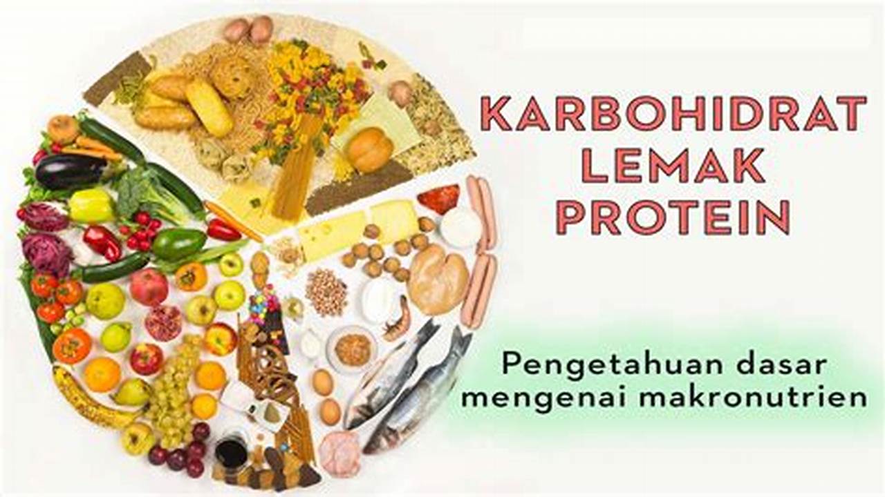Sumber Protein, Lemak, Dan Karbohidrat Yang Baik, Resep7-10k