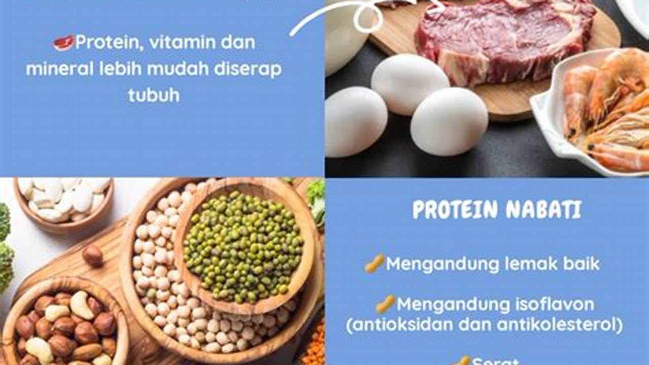 Sumber Protein Nabati, Manfaat