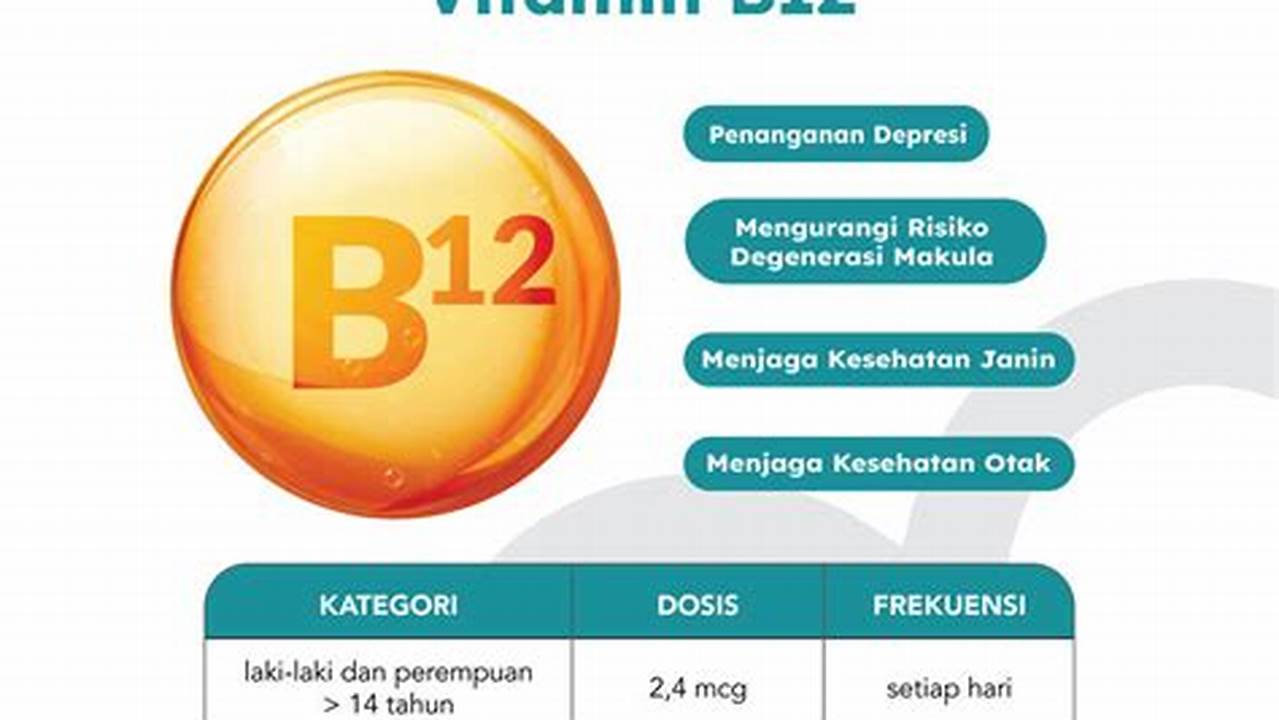 Sumber Vitamin B12, Manfaat