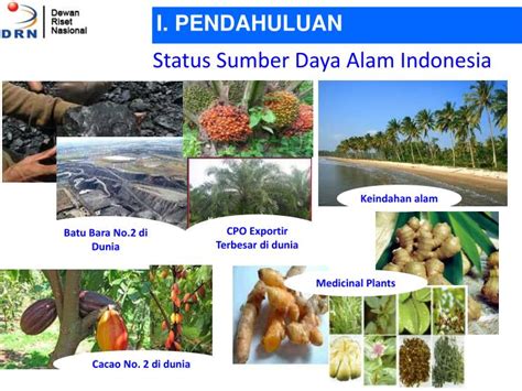 Sumber Daya Alam di Indonesia