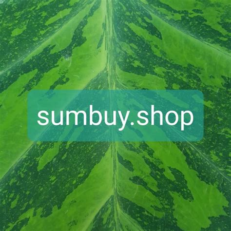 Sumbuy com
