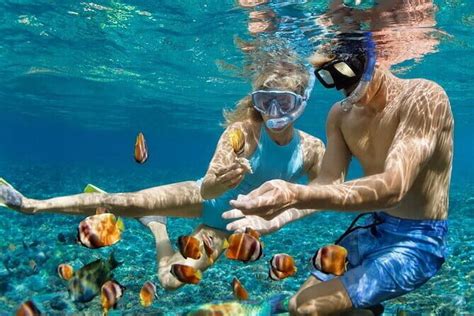 Summarizing Snorkeling Insights