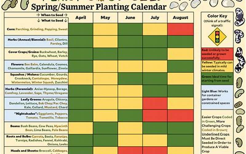 Summer Planting Schedule
