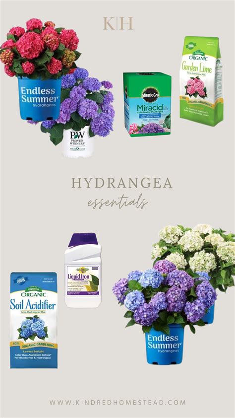 Summer Essentials The Haute Hydrangea