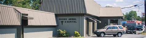 Healthy Pets, Happy Lives: Discover the Best Care at Summerville Animal Hospital in Phenix City, AL