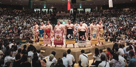 Sumo Culture Experience