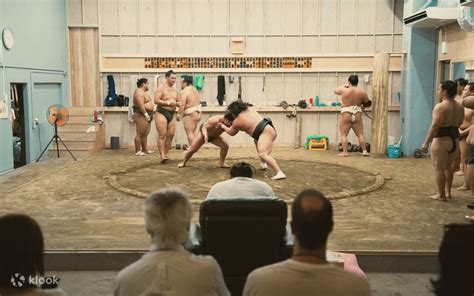 Sumo Morning Practice Close Up