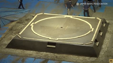 Sumo Ring