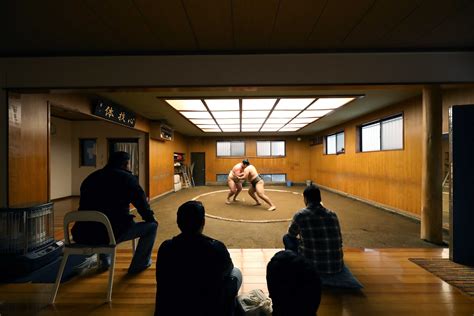 Sumo Stable