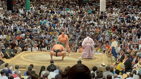 Sumo Tour Review