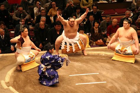 Budaya Sumo di Masyarakat Jepang