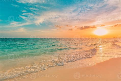 Sun Sea