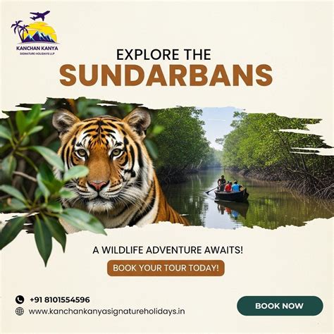Climate and Best Time to Visit