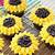 Sunflower Cupcakes Pinterest