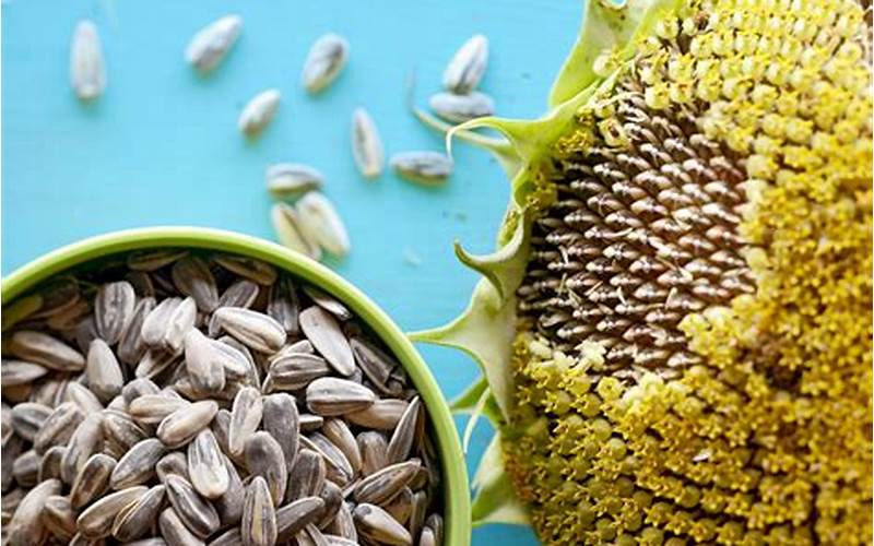 Sunflower Seeds