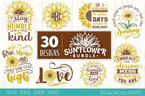Download Sunflower Bundle 30 Designs Cut Images