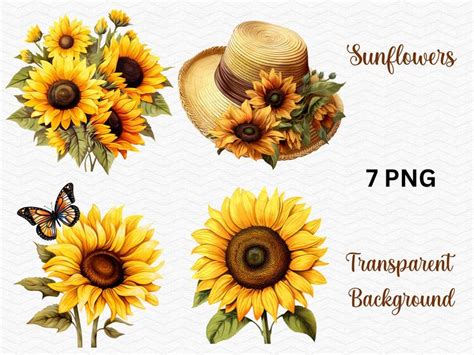 Download Sunflower Commercial Use For Crafts
