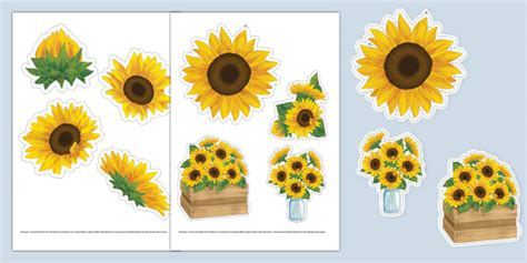 Download Sunflower Cut Images
