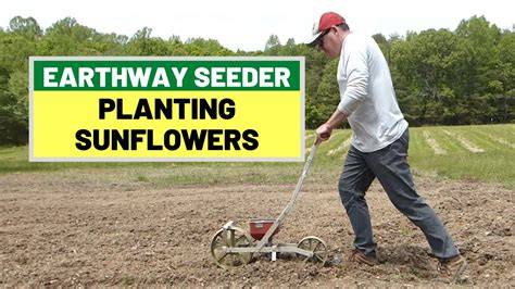 Sunflower Seed Planter