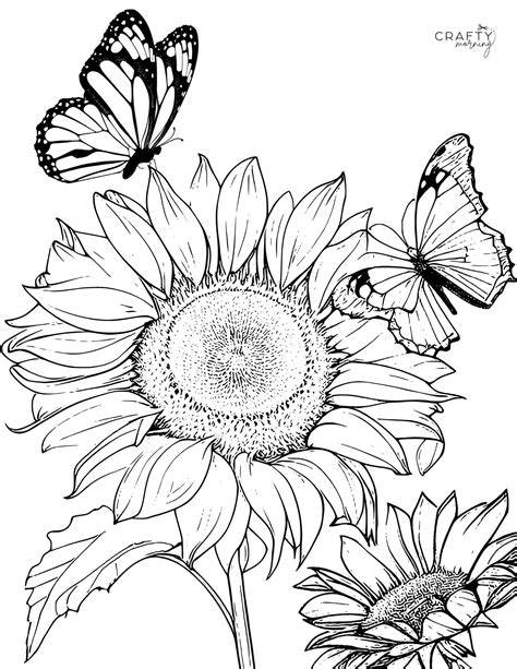 Sunflowers Coloring Page