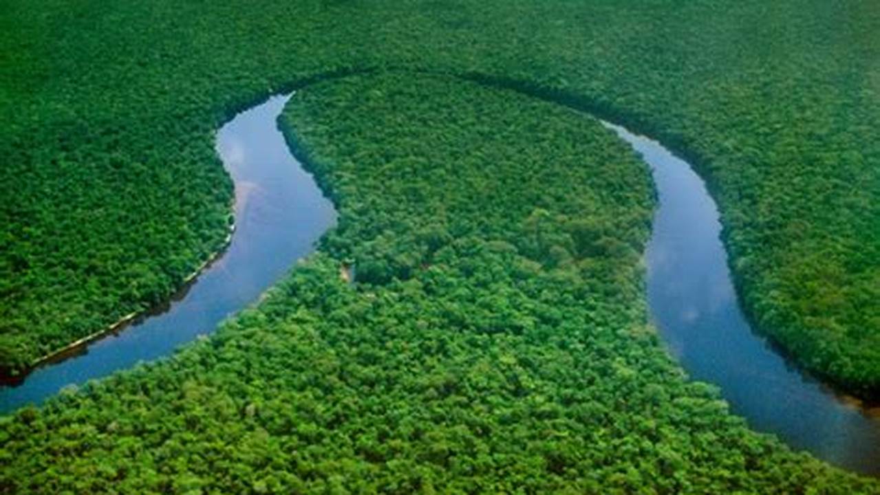 Sungai Ubangi Merupakan Tempat Terjadinya Beberapa Pertempuran Penting Selama Perang Kongo Kedua., Sungai Terpanjang