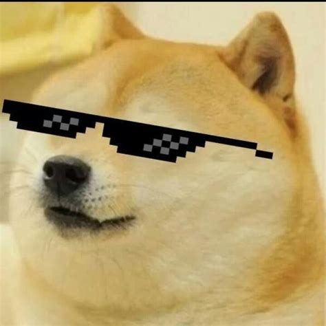 Sunglasses Dog Meme