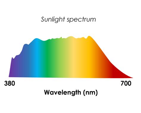 Sunlight & Skin Health: Your Daily Glow.